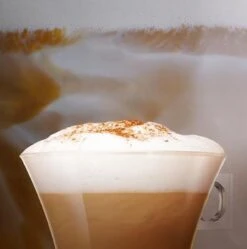 Nescafé Dolce Gusto Cappuccino Capsules - 90 Koffiecups 15 Nescafé Dolce Gusto Cappuccino Capsules - 90 Koffiecups -Koffie Kortings Winkel 1190x1200 3