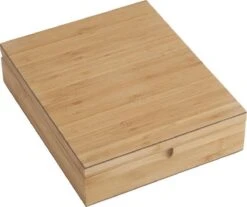 Bredemeijer - Theedoos 9-vaks Gesloten Bamboe Natural -Koffie Kortings Winkel 1200x1007