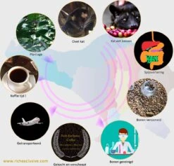 Kopi Luwak Koffie. 35 Gram Ongemalen Bonen. Direct Trade. Single Origin. The Original By Rich.Exclusive. -Koffie Kortings Winkel 1200x1153 1