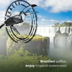 Soolong Enjoy Brazilie Nr4000 Koffiebonen Topacio Lungo - Speciality Koffie Arabica Medium Roast, Light Body Met Een Verfijnde Zacht Zoete Smaak. - Zak 250gram 17 Soolong Enjoy Brazilie Nr4000 Koffiebonen Topacio Lungo - Speciality Koffie Arabica Medium Roast, Light Body Met Een Verfijnde Zacht Zoete Smaak. - Zak 250gram -Koffie Kortings Winkel 1200x1200 198