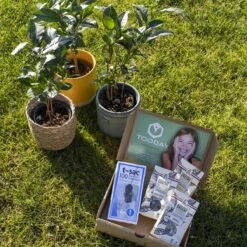 T-Sac Theefilters No.1 -Koffie Kortings Winkel 1200x1200 353