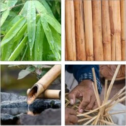 Relaxdays Theedoos 5 Vaks - Theekist - Theezakjeshouder - Bamboe - Voor Ca. 10 Theezakjes 20 Relaxdays Theedoos 5 Vaks - Theekist - Theezakjeshouder - Bamboe - Voor Ca. 10 Theezakjes -Koffie Kortings Winkel 1200x1200 384