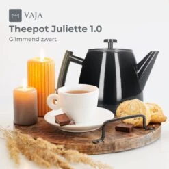 Vaja® Theepot Juliette Met Filter - Dubbelwandig -Theekan 1.0L - Glimmend Zwart -Koffie Kortings Winkel 1200x1200 436