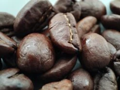 Voordeelpakket: Den Leeuw Lungo (80 Koffiecups) - Roast Koffiecups - Echte Hollandsche Koffie Van Den Leeuw In Nespresso Cups - Nespresso Compatibele Koffie Cups -Koffie Kortings Winkel 1200x900