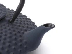 Bredemeijer - Theepot Xilin 1,25L Gietijzer Blauw 16 Bredemeijer - Theepot Xilin 1,25L Gietijzer Blauw -Koffie Kortings Winkel 1200x900 30