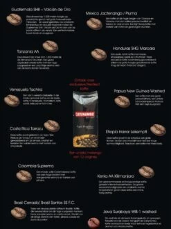 Catunambú Predilect Koffiebonen 1 Kilo - Premium Kwaliteit - Horecakoffie Voor Thuis - Ultiem Koffiegenot 9 Catunambú Predilect Koffiebonen 1 Kilo - Premium Kwaliteit - Horecakoffie Voor Thuis - Ultiem Koffiegenot -Koffie Kortings Winkel 897x1200